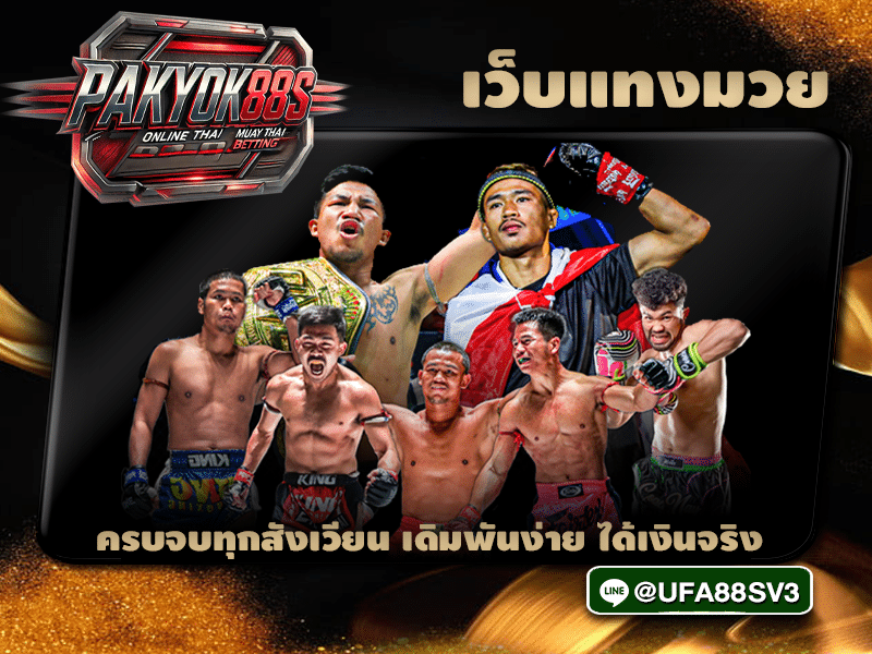 เว็บแทงมวย