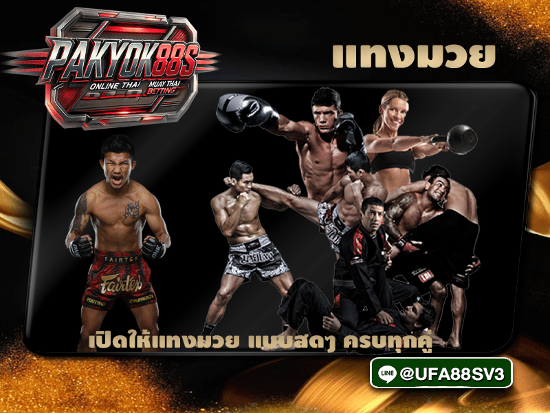 แทงมวย